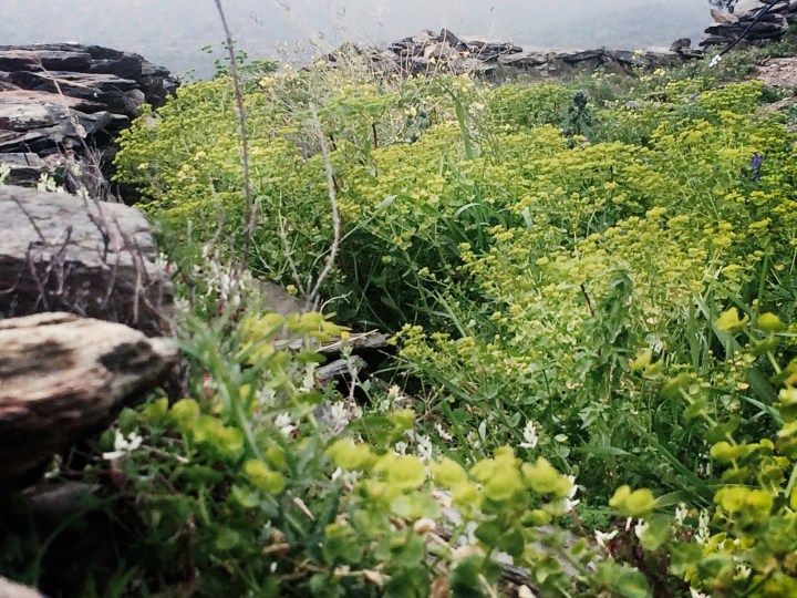 Cadaques_Fruehling_06