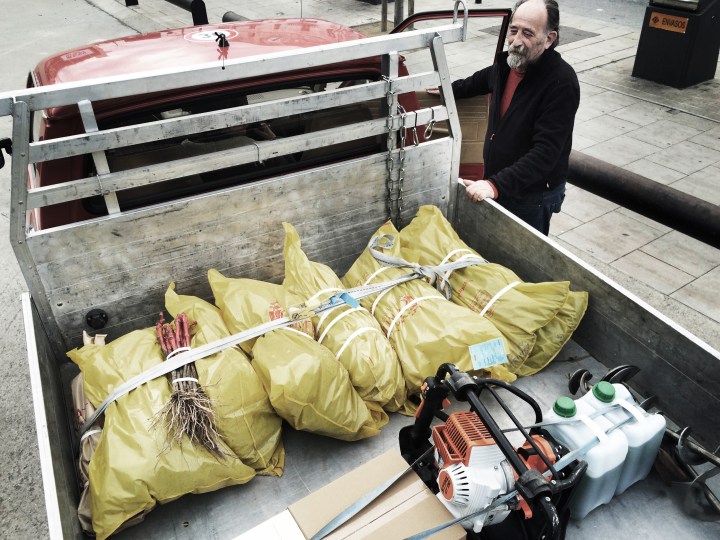 Cadaques_Pflanzen_03