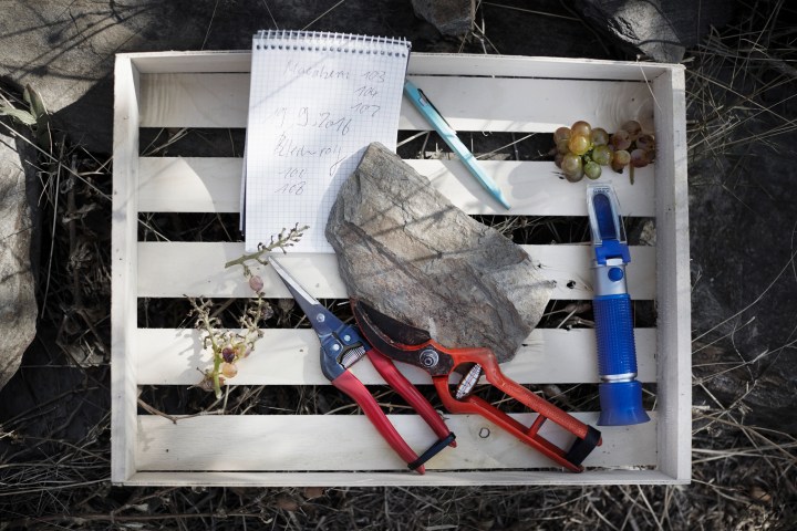 cadaques_ernte2016_09