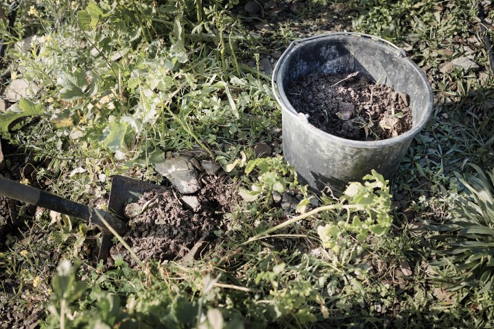 cadaques_2017_bodenneupflanzung_01
