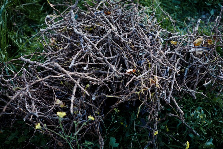 cadaques_2017_schnitt_13